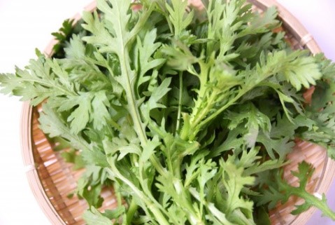 カルシウム摂取量はたりていますか？