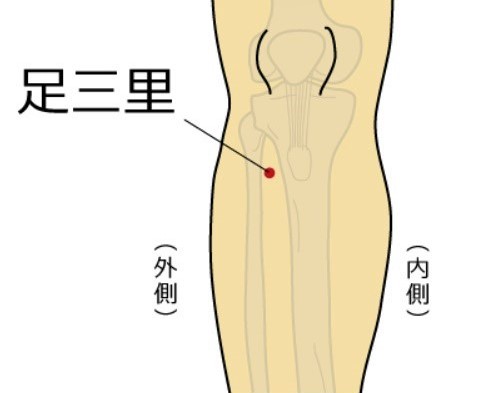 ツボ：脚や胃腸不調、更年期障害など万能・足三里