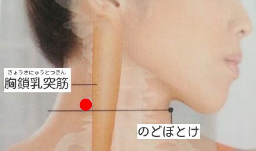 ツボ：小顔効果　天窓（てんそう）