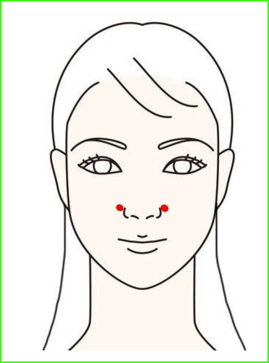 ツボ：鼻の不調　迎香（げいこう）