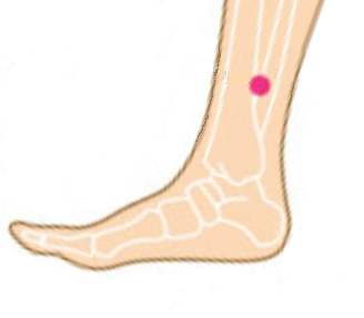 ツボ：女性特有の症状が原因のもの・三陰交