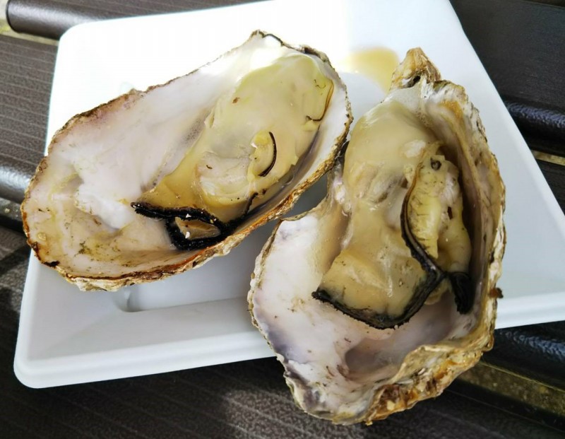 牡蠣は殻も身も素晴らしい！