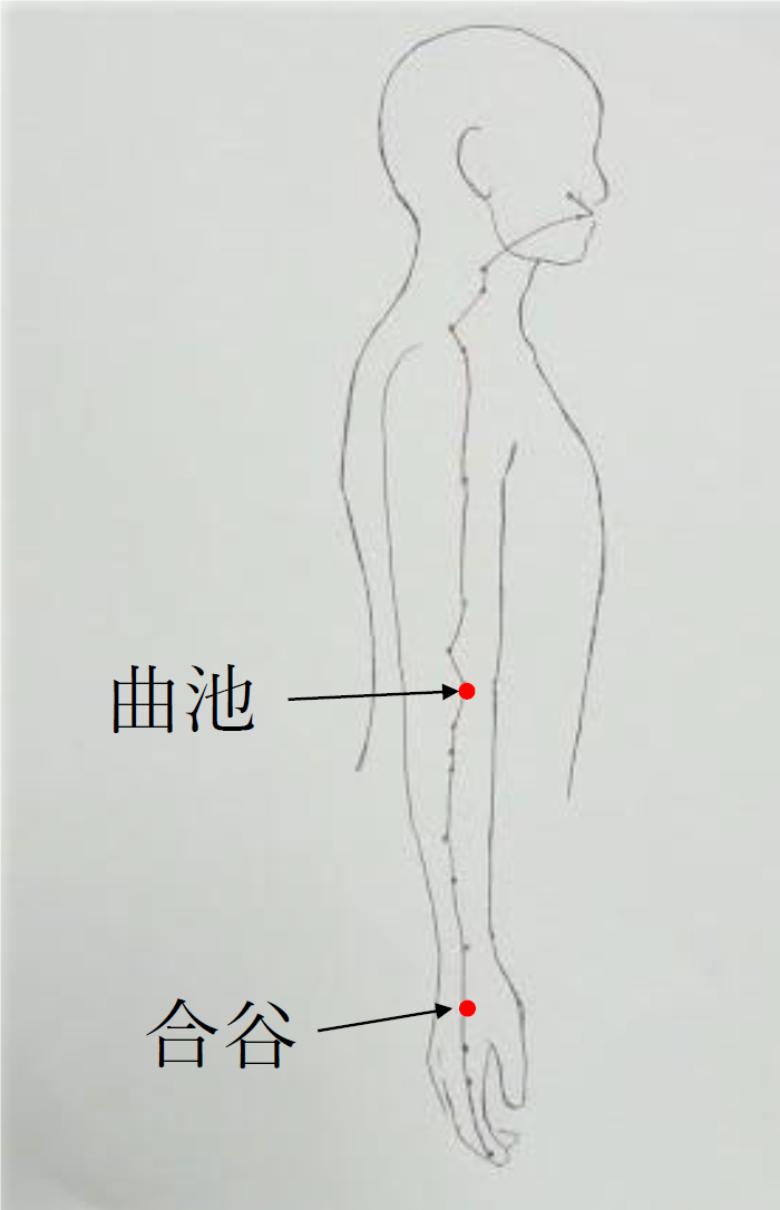 ツボ：便秘改善し美肌効果、二の腕シェイプ