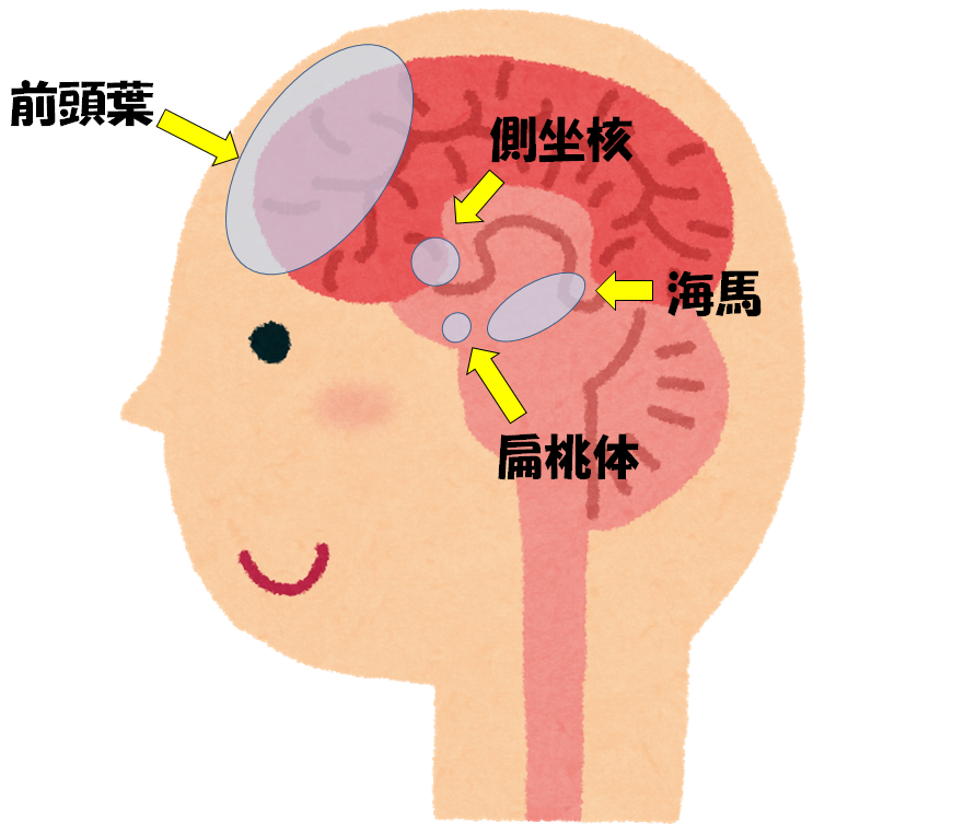生涯健康でボケないために。