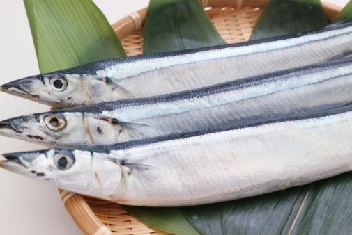 油少なめ料理、秋刀魚ごはん。