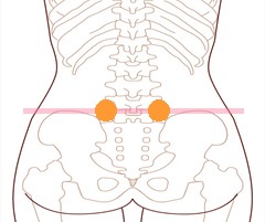 ツボ：腸の不調・大腸兪（だいちょうゆ）