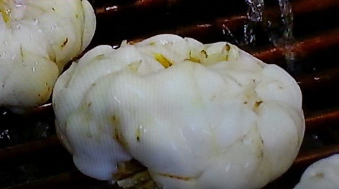 咳にもおすすめ、甘くておいしいお粥