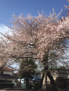 新人スタッフ紹介♪