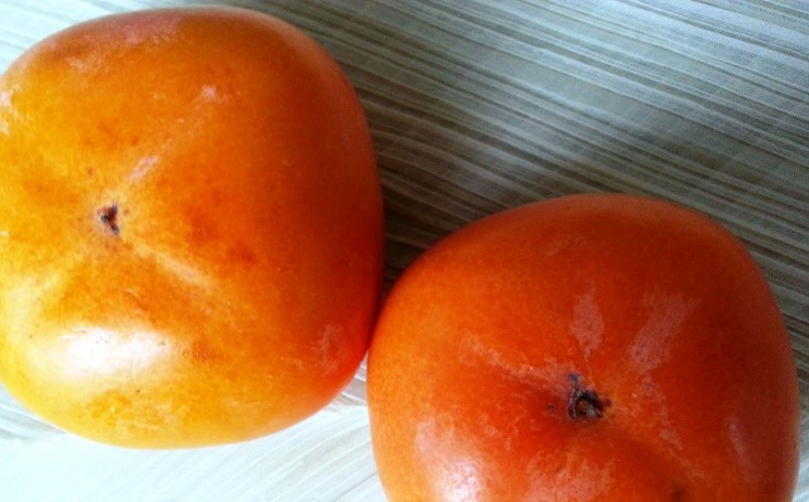 日本の秋を象徴する柿