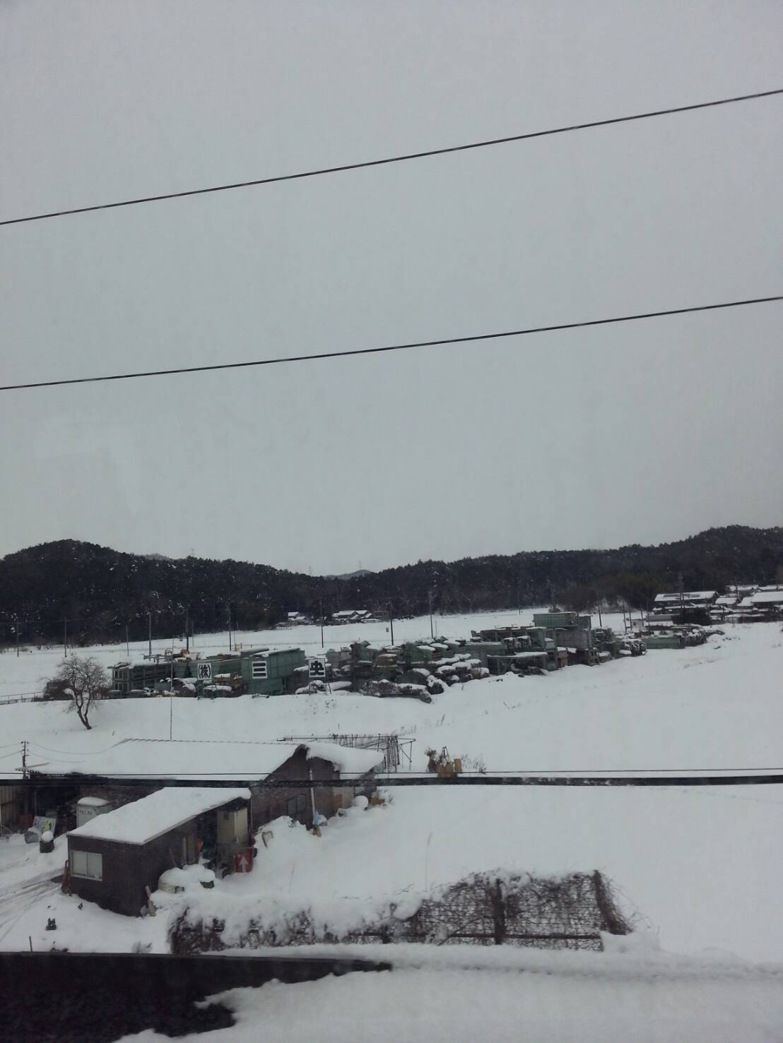 不妊症の研修に行ってきました。