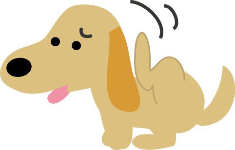 愛犬のアトピーに困っていませんか？