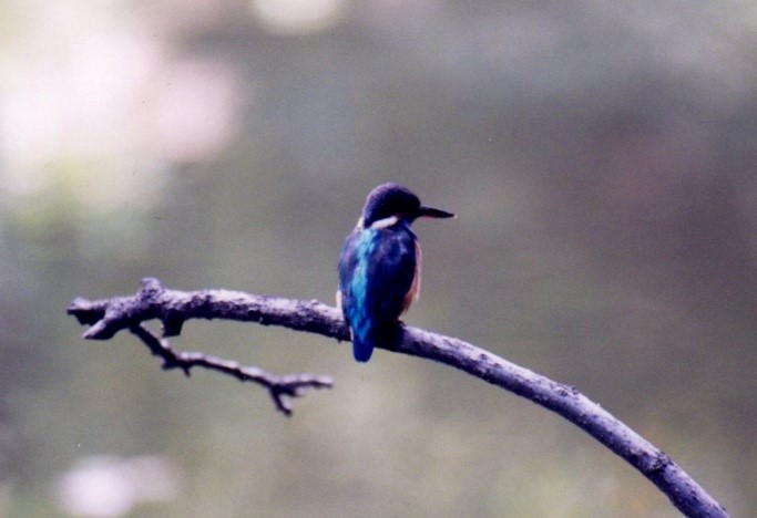 寒い季節は保湿が大事