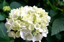 髪で広げよう！子供たちの笑顔