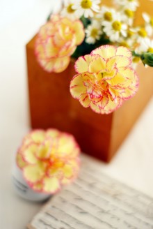 母の日にピンクのカーネーション