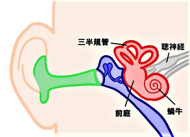 耳鳴り・難聴対策１