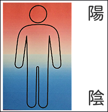 冷えのぼせ５　腎の虚弱