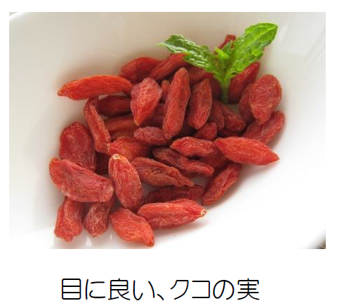 貧血・2　体内の栄養不足