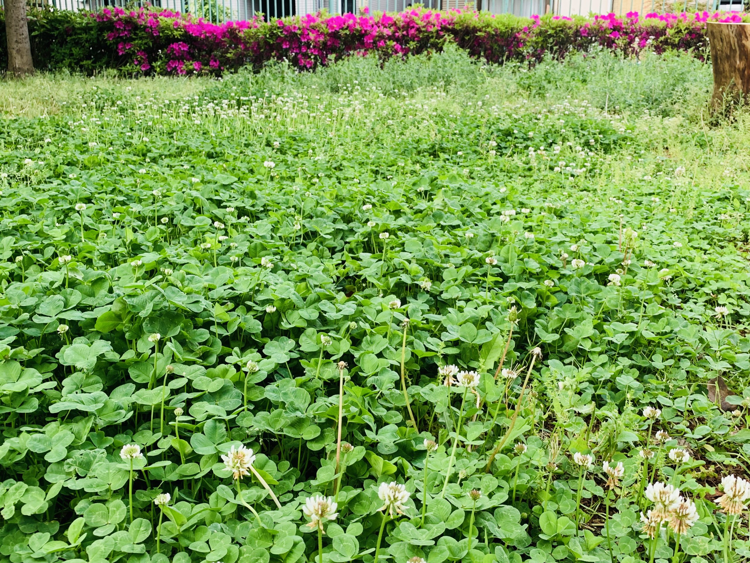 気の流れを良くして、気を晴らそう。