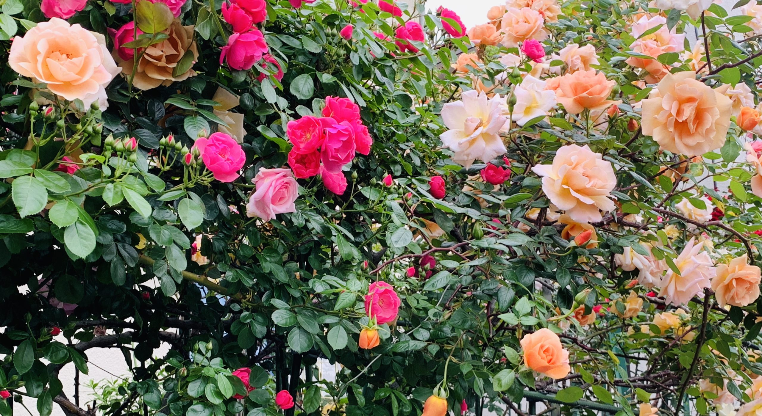 お客様からの温かい言葉