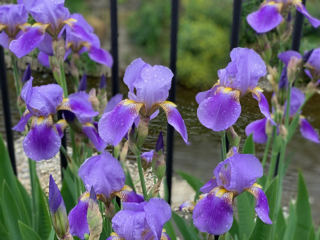 柔軟な対処で、道を開く。