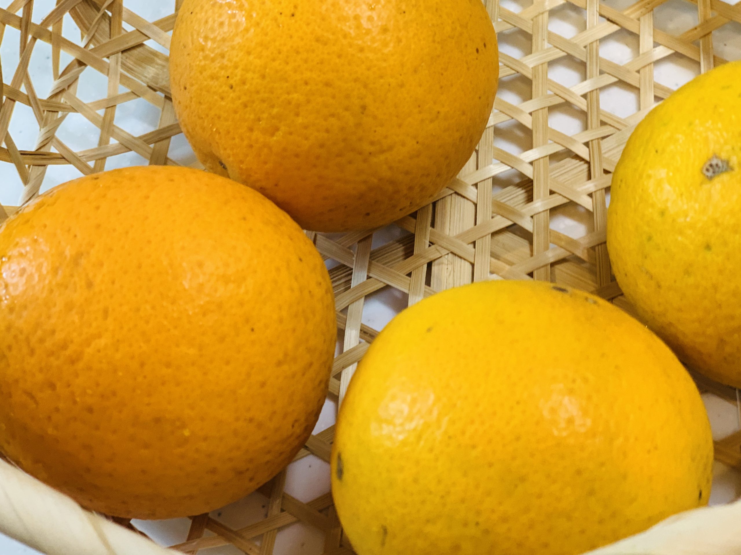 自然の物には生命の源が宿る？