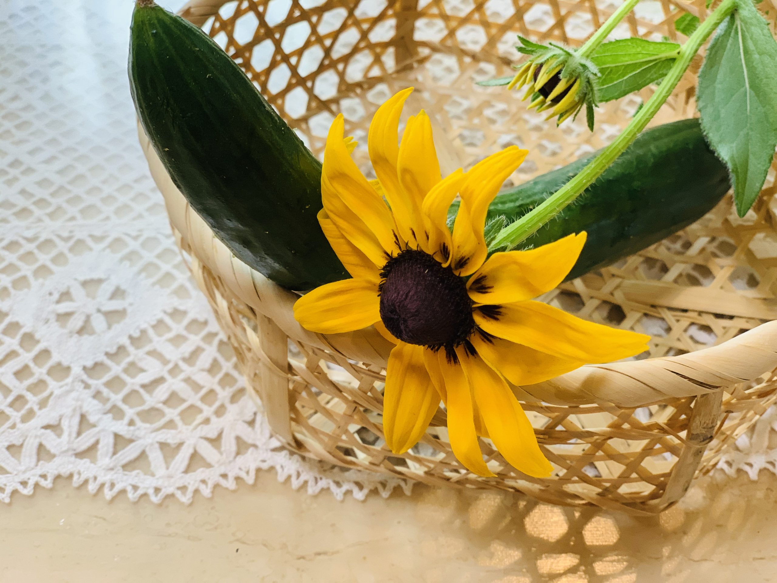 ほんのりと胸が温かくなりました。