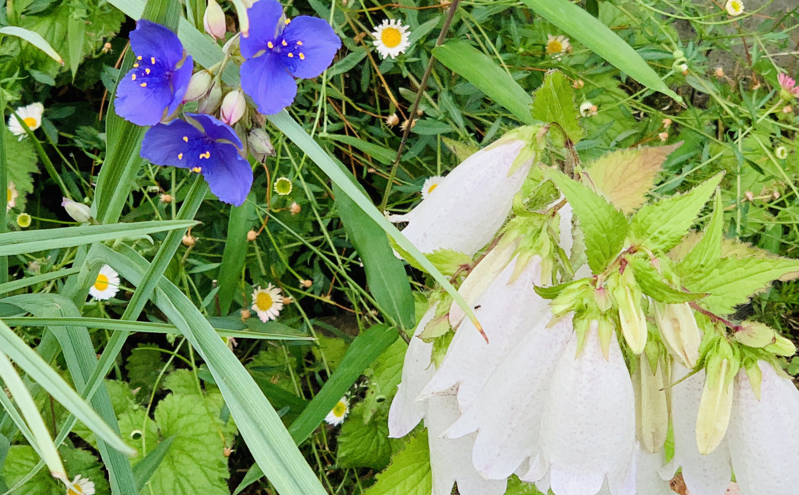 梅雨時は体の湿気も追い出そう。