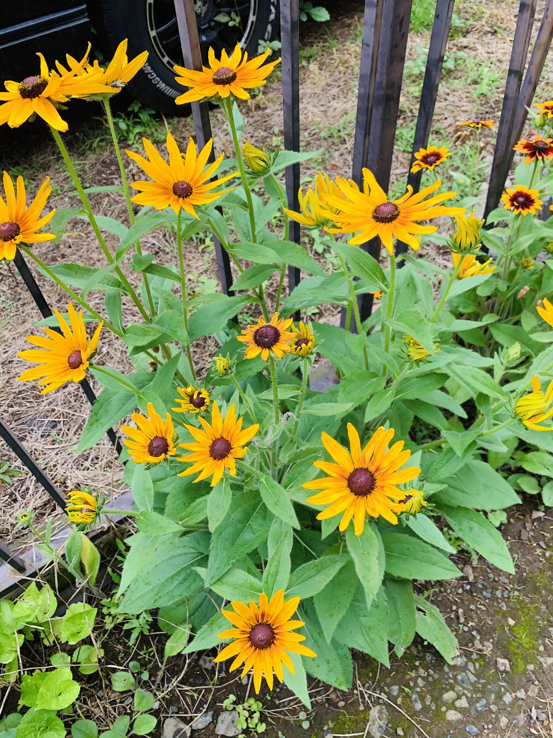 気詰まりは気晴らしがおすすめ♪