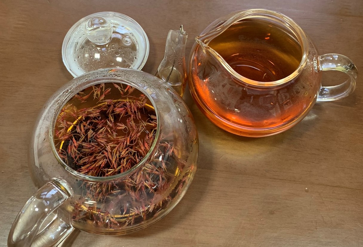 かおりんの養生茶Labo2020その④　春の養生茶編