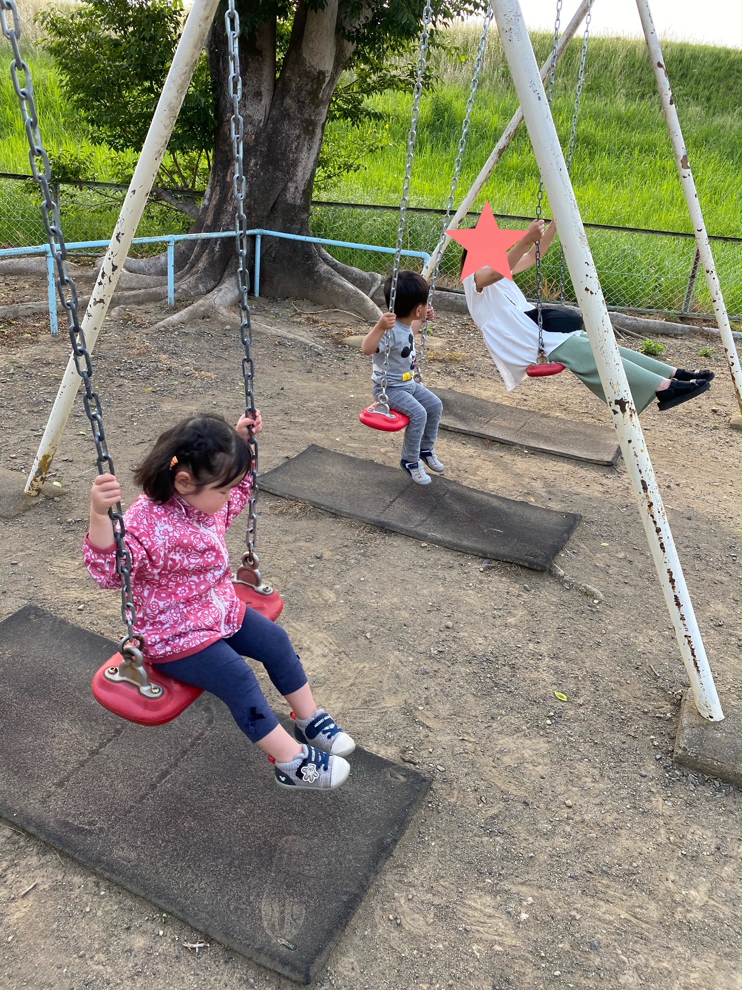 これからの時期、そら豆はいかが？