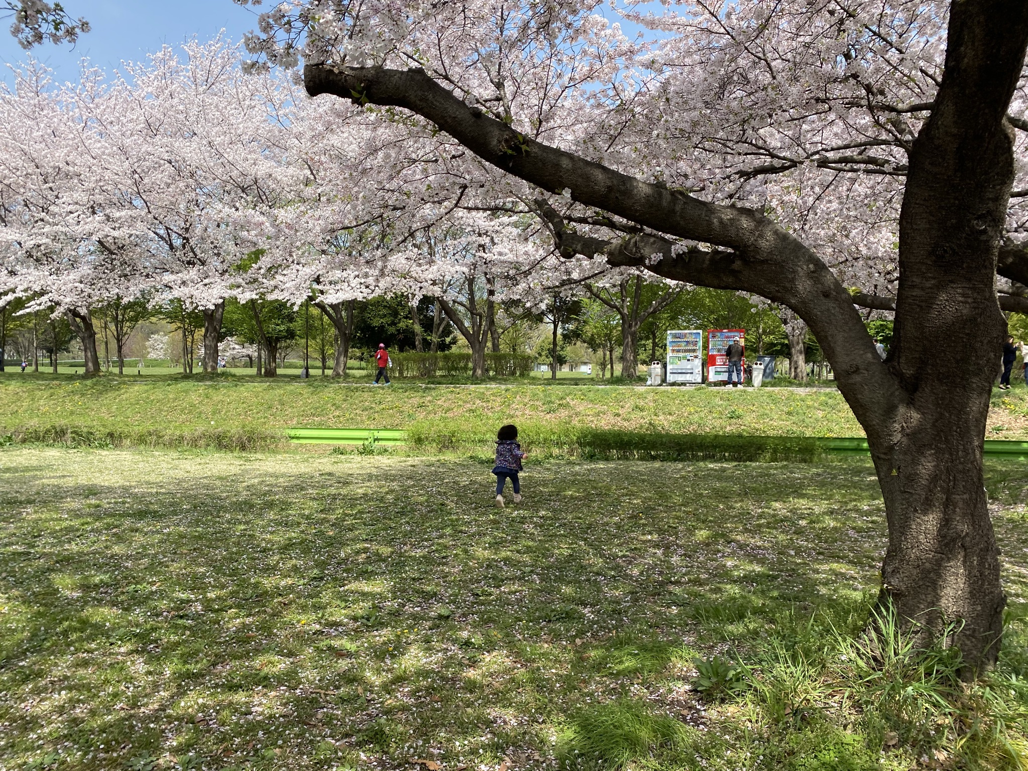 初めまして、長山です。