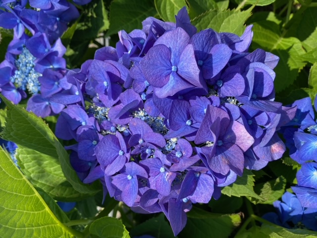 子午流注で健康的な生活