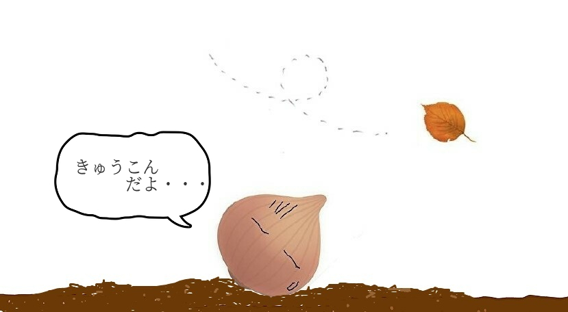 次男失態のその後