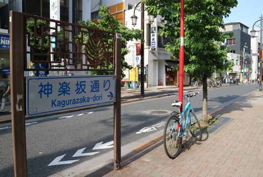 植松光子のアレルギー遍歴：その１