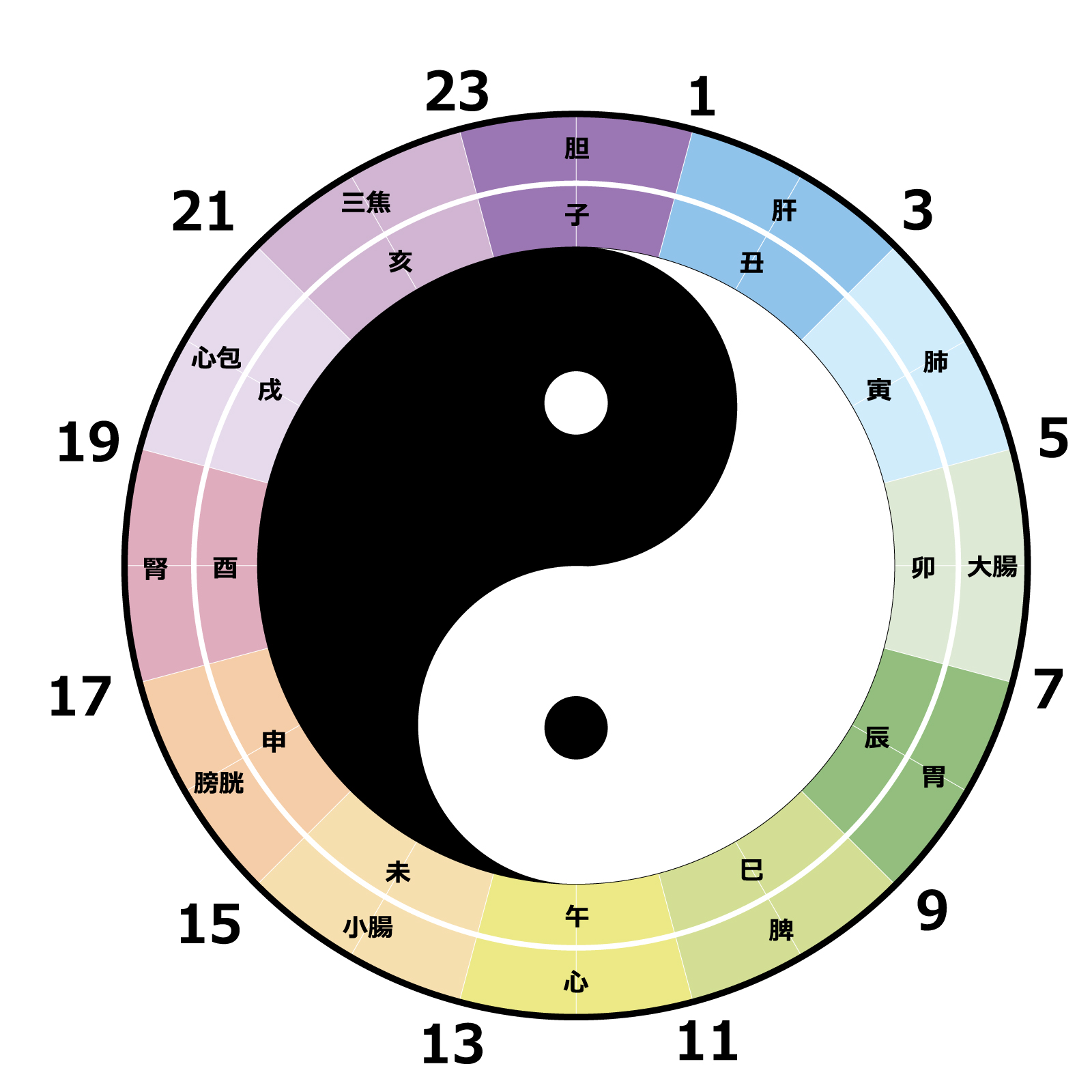 子午流注　-中医の時間医学-