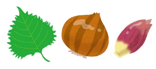 生理痛や不妊におすすめの食べ物