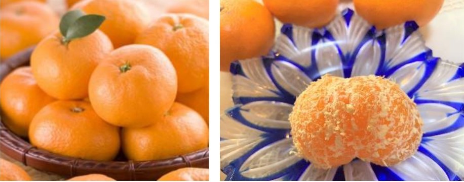 膀胱炎２：ストレスのたまった「気滞」タイプ