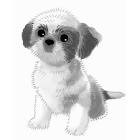 犬猫の漢方、犬のアトピー