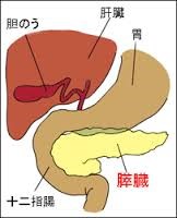 どうして冷たい飲み物はいけないの？