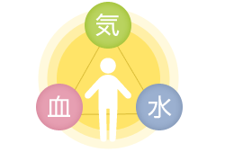 健康を支える３本柱