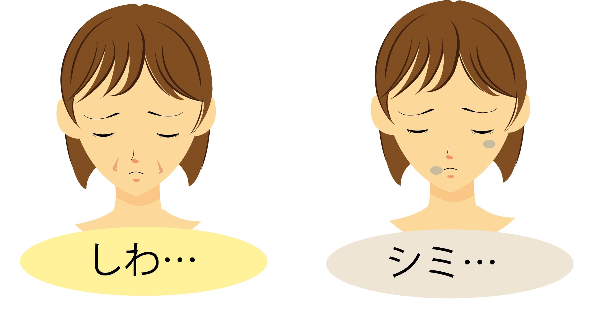 スローエイジング　シミ・しわは血流・老化と関係